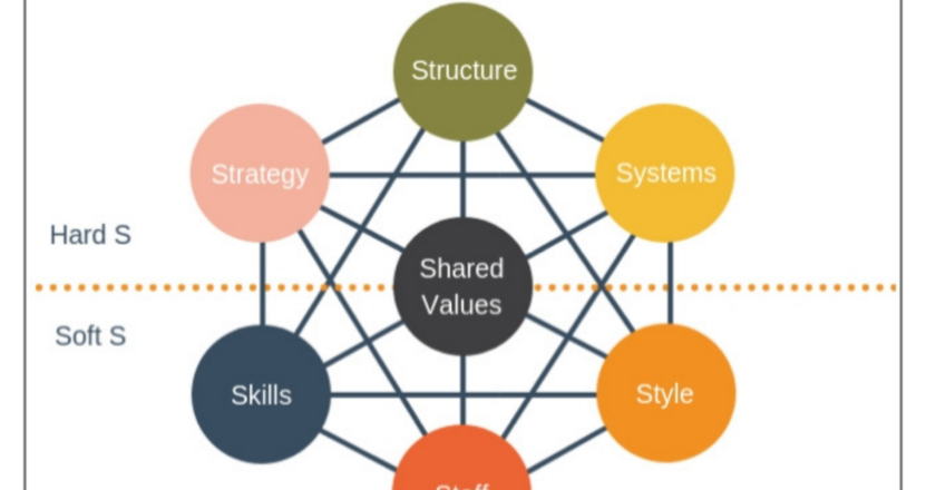 Don’t Wait Until Your Team Grows to Start  Using The McKinsey 7-S Framework: Start Now