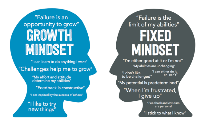 Fixed and Growth mindsets: How they Influence our Life Experiences